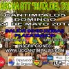 XIII Marcha BTT «Ruta del Torto» (2017)